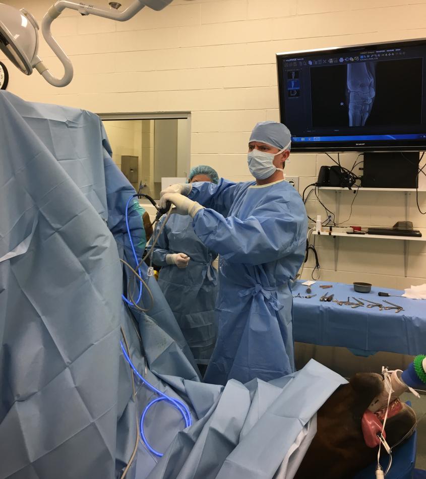 Dr. Pigott performing an arthroscopy